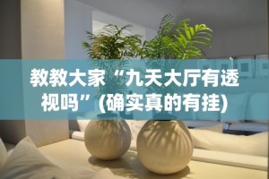 教教大家“九天大厅有透视吗”(确实真的有挂)