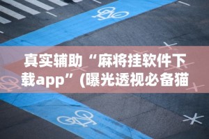 秒懂经验“微乐双扣麻将怎么开挂的”附开挂脚本详细步骤