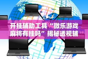 开挂辅助工具“微乐游戏麻将有挂吗”揭秘透视辅助万能挂