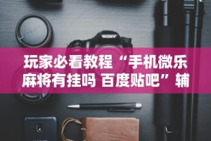 玩家秒懂“微乐保皇有挂吗”揭秘透视辅助万能挂用法