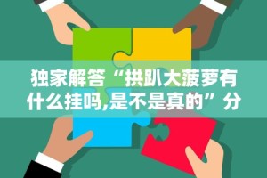 独家解答“拱趴大菠萝有什么挂吗,是不是真的”分享用挂教程