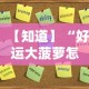 【知道】“好运大菠萝怎么开挂”开挂辅助详细步骤