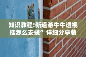 知识教程!新道游牛牛透视挂怎么安装”详细分享装挂步骤