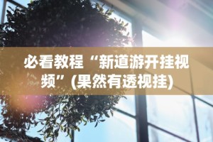 教程更新!：打哈儿麻将有挂没得”(详细辅助脚本)