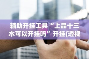 辅助开挂工具“上品十三水可以开挂吗”开挂(透视)辅助神器