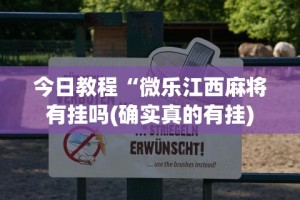 今日教程“微乐江西麻将有挂吗(确实真的有挂)