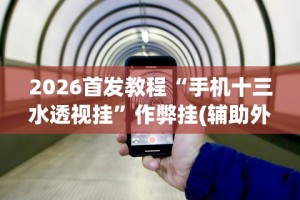 2026首发教程“手机十三水透视挂”作弊挂(辅助外挂+