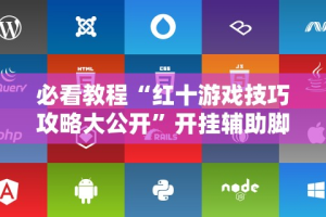 必看教程“红十游戏技巧攻略大公开”开挂辅助脚本+详细开挂