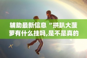 辅助最新信息“拱趴大菠萝有什么挂吗,是不是真的”(果然有透视挂)