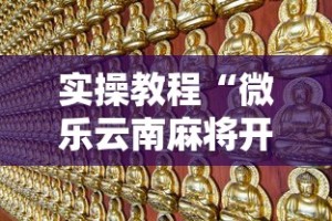 实操教程“微乐云南麻将开挂教程”事实上确实有挂