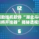 独家脚本实测“皮皮衡阳字牌怎么开挂”辅助神器插件下载