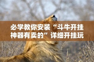 必学教你安装“斗牛开挂神器有卖的”详细开挂玩法