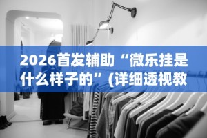 2026首发辅助“微乐挂是什么样子的”(详细透视教程)