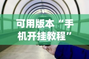 可用版本“手机开挂教程”(曝光透视必备猫腻)