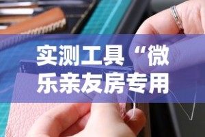 实测工具“微乐亲友房专用挂”详细分享装挂步骤