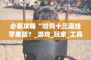 2026最新一代“哈狗13道有挂吗最新辅助详细教程