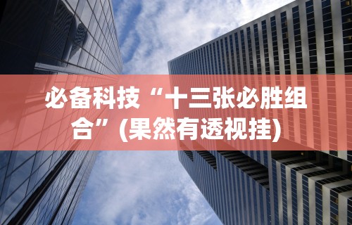 必备科技“口袋十三张透视挂”-详细教程