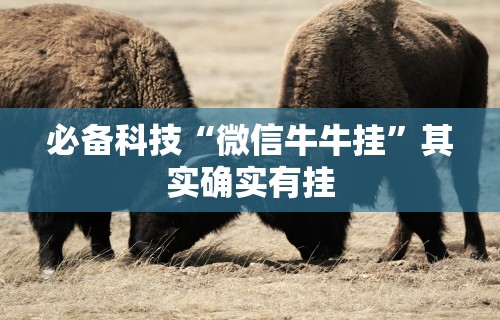 必备科技“微信牛牛挂”其实确实有挂