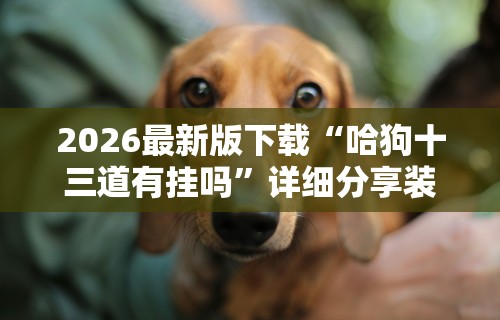 2026最新版下载“哈狗十三道有挂吗”详细分享装挂步骤