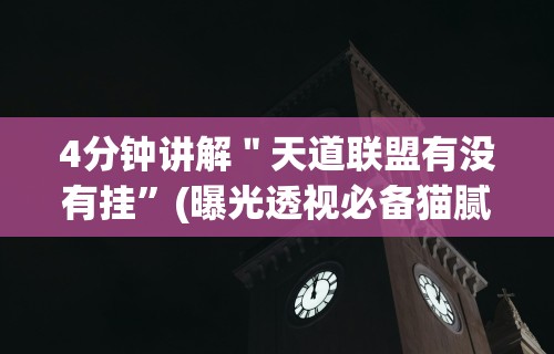4分钟讲解＂天道联盟有没有挂”(曝光透视必备猫腻)