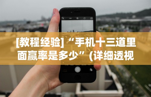 [教程经验]“手机十三道里面赢率是多少”(详细透视教程)-