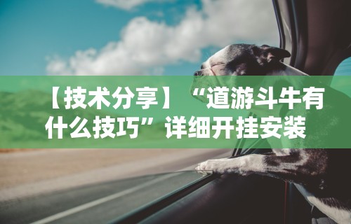 【技术分享】“道游斗牛有什么技巧”详细开挂安装教程