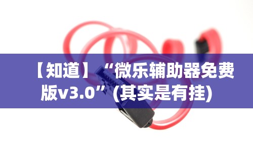 【知道】“微乐辅助器免费版v3.0”(其实是有挂)