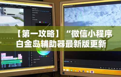 【第一攻略】“微信小程序白金岛辅助器最新版更新内容”通用版下载教程！