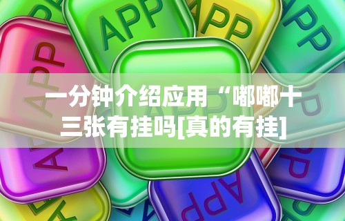 一分钟介绍应用“嘟嘟十三张有挂吗[真的有挂]