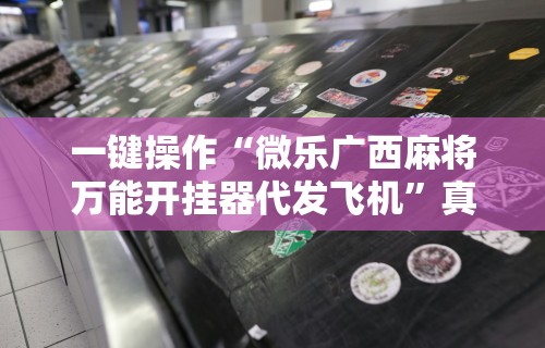 一键操作“微乐广西麻将万能开挂器代发飞机”真实开挂技巧分享