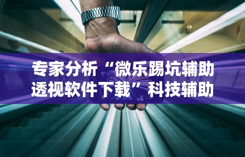 专家分析“微乐踢坑辅助透视软件下载”科技辅助神器手机版教程