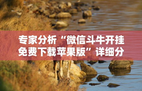 专家分析“微信斗牛开挂免费下载苹果版”详细分享装挂步骤