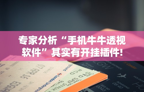 专家分析“手机牛牛透视软件”其实有开挂插件!