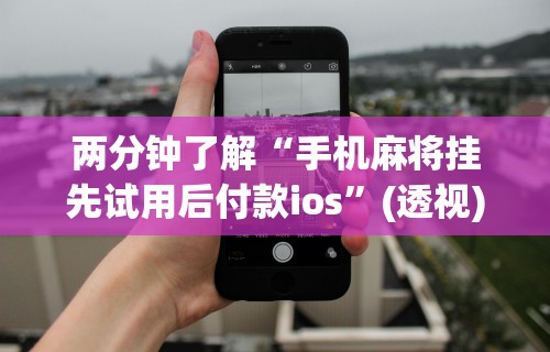 两分钟了解“手机麻将挂先试用后付款ios”(透视)其实确实有挂