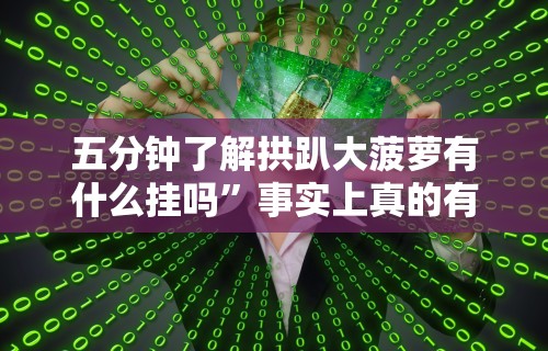 五分钟了解拱趴大菠萝有什么挂吗”事实上真的有挂