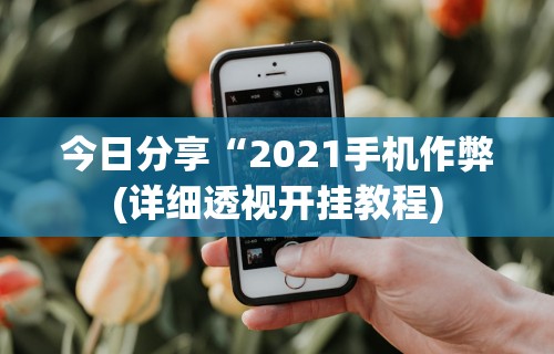 今日分享“2021手机作弊(详细透视开挂教程)