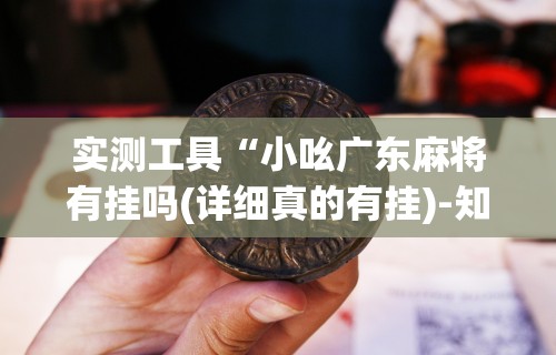 实测工具“小吆广东麻将有挂吗(详细真的有挂)-知乎