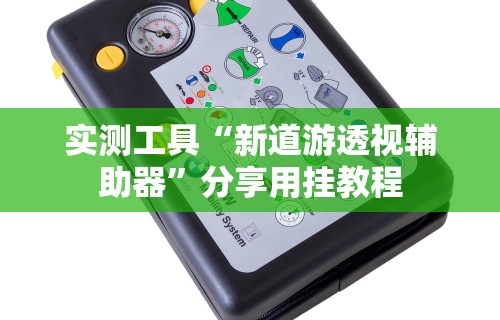 实测工具“新道游透视辅助器”分享用挂教程
