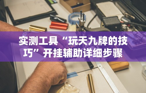 实测工具“玩天九牌的技巧”开挂辅助详细步骤