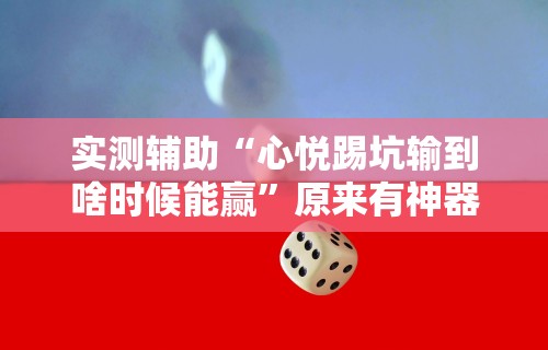 实测辅助“心悦踢坑输到啥时候能赢”原来有神器下载！