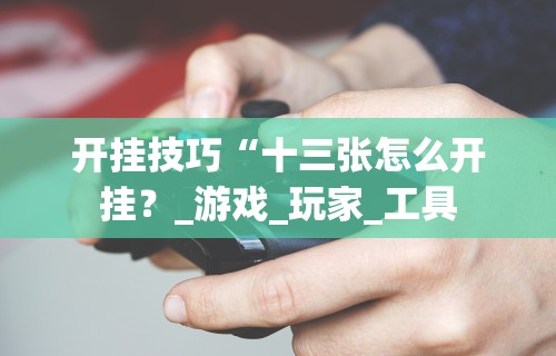 开挂技巧“十三张怎么开挂？_游戏_玩家_工具