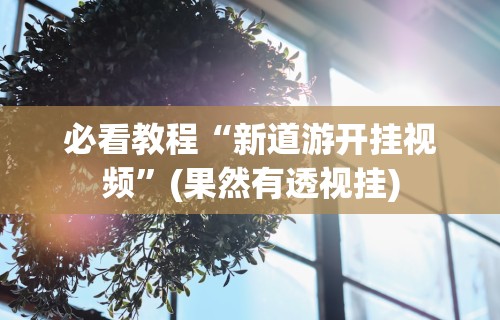 教程更新!：打哈儿麻将有挂没得”(详细辅助脚本)