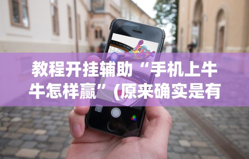 教程开挂辅助“手机上牛牛怎样赢”(原来确实是有挂)