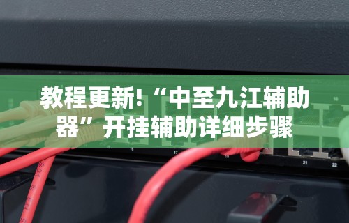 教程更新!“中至九江辅助器”开挂辅助详细步骤