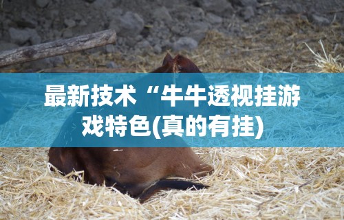 最新技术“牛牛透视挂游戏特色(真的有挂)