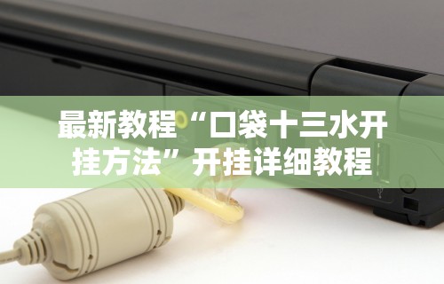 最新教程“口袋十三水开挂方法”开挂详细教程