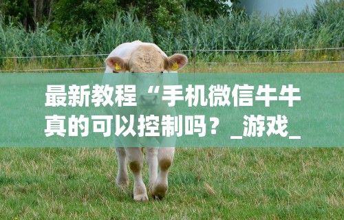 最新教程“手机微信牛牛真的可以控制吗？_游戏_玩家_工具