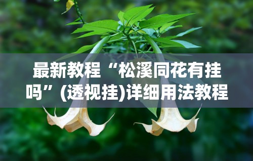 最新教程“松溪同花有挂吗”(透视挂)详细用法教程