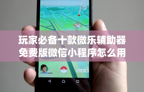 玩家必备十款微乐辅助器免费版微信小程序怎么用”(其实是有挂)
