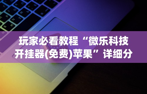 玩家必看教程“微乐科技开挂器(免费)苹果”详细分享装挂步骤